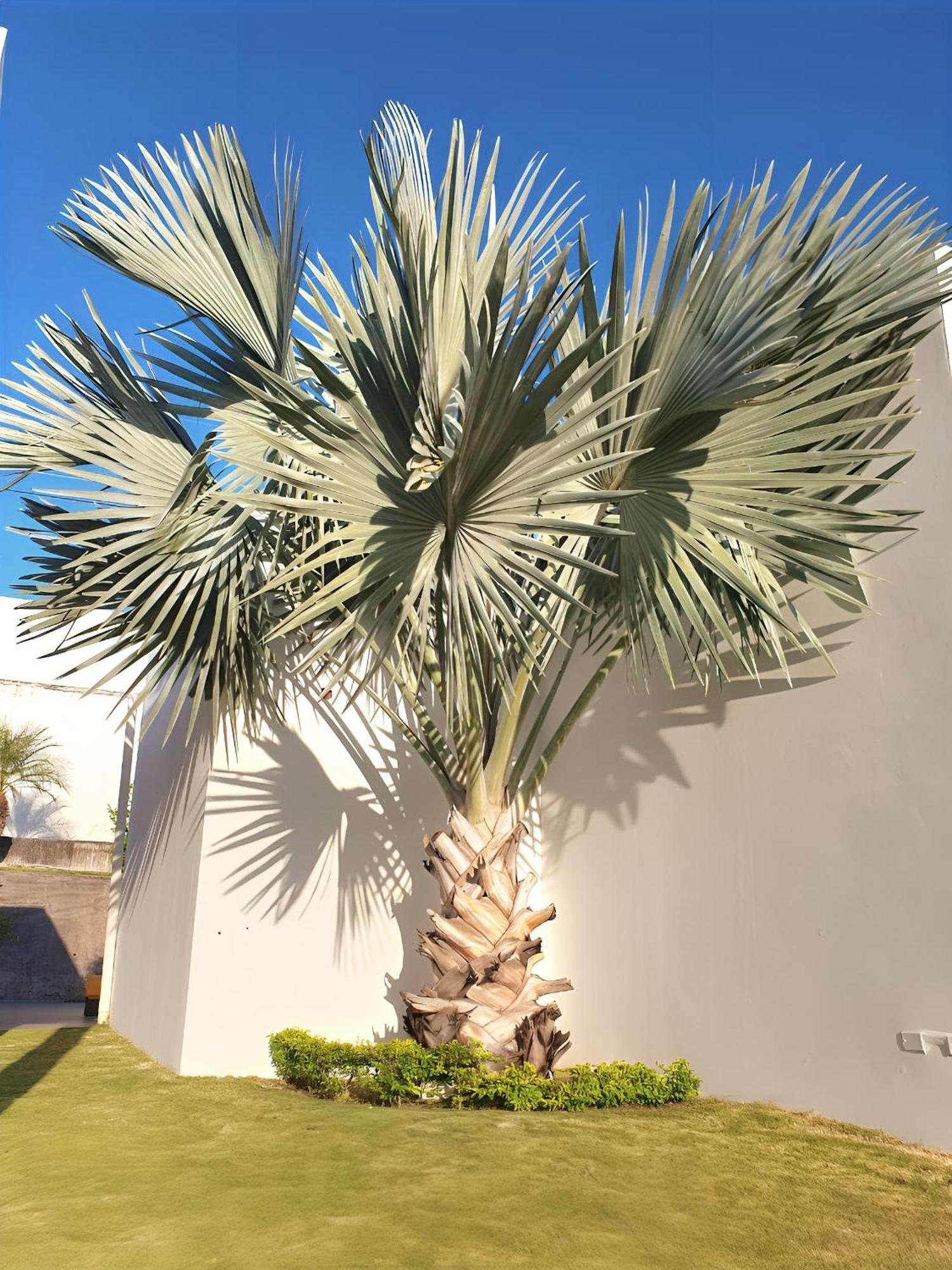 Beach Villa With Cozy Terrace Río Hato المظهر الخارجي الصورة
