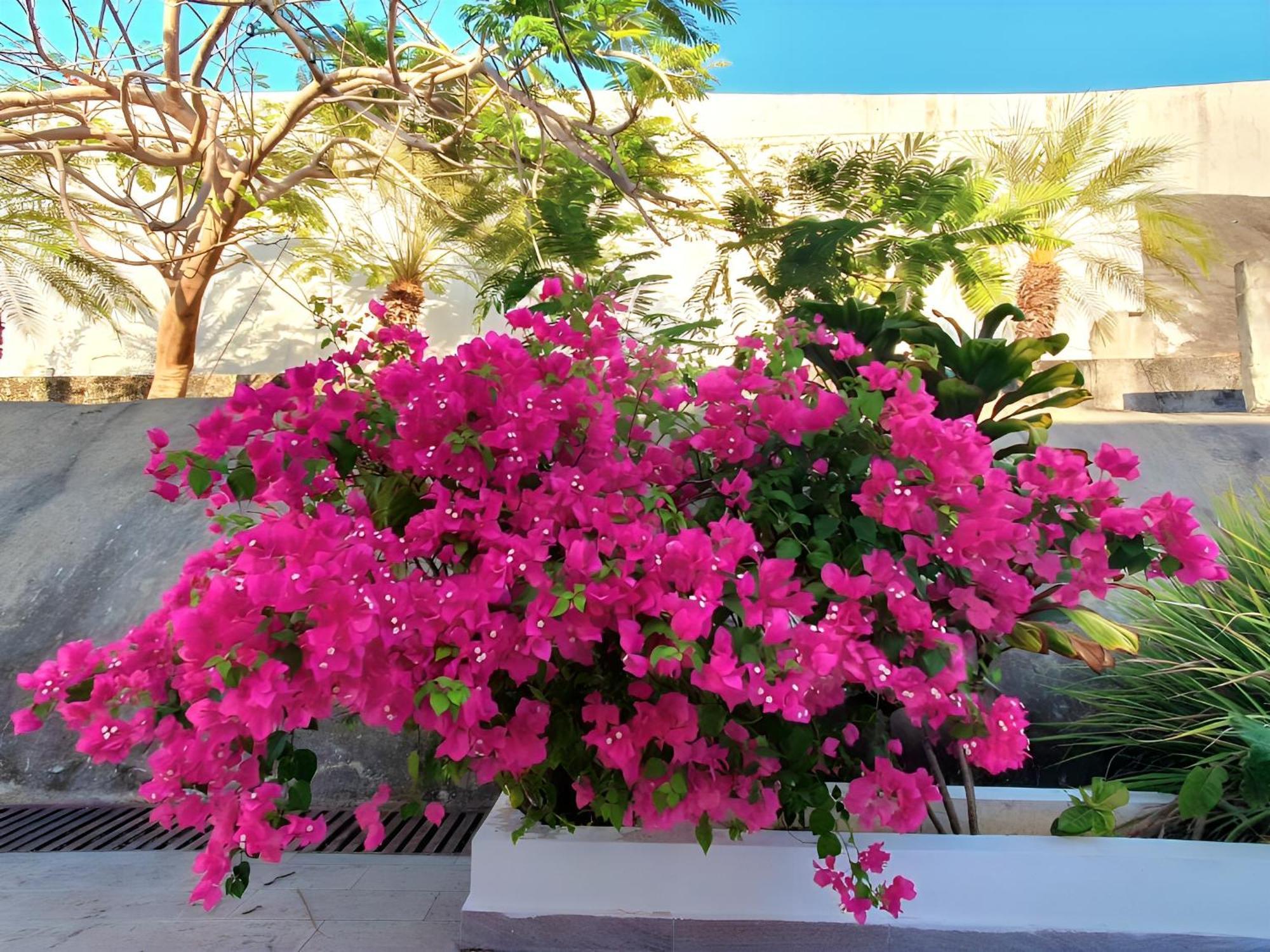 Beach Villa With Cozy Terrace Río Hato المظهر الخارجي الصورة